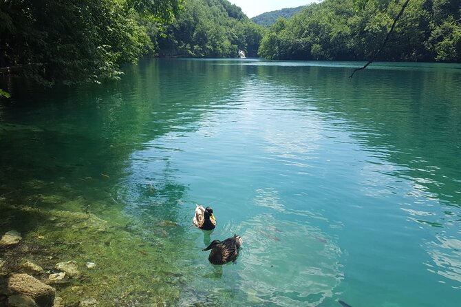 Plitvice Lakes Small Group Tour Ecco from Split or Trogir - Key points to know before you go
