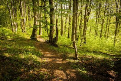Plitvice Lakes Tour from Split with Entrance Ticket included - Entering Plitvice: 4 Hours Among Lakes, Waterfalls, and a Boat Ride