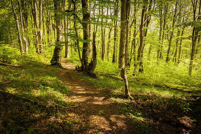 Plitvice Lakes Tour from Split with Entrance Ticket included - Entering Plitvice: 4 Hours Among Lakes, Waterfalls, and a Boat Ride