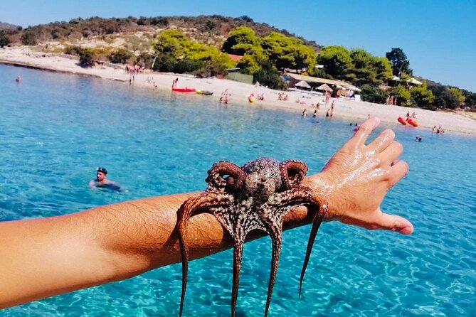 Private Blue Cave Tour from Split, Brač, Trogir and Hvar - How This Private Day Works From Split (And What “Up to 12” Really Means)