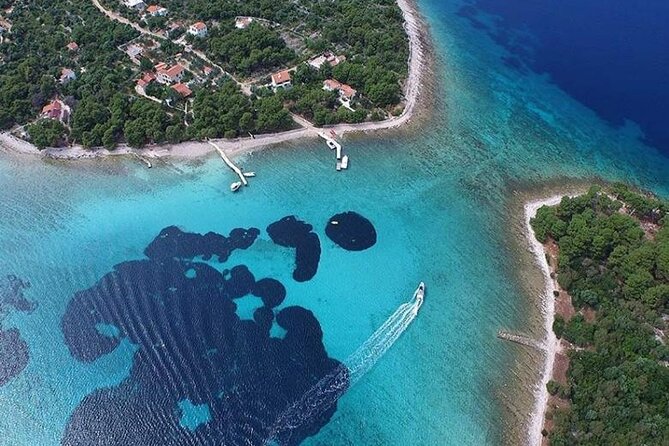 Private Half day Blue Lagoon Tour - Timing, weather, and the one thing you should not ignore