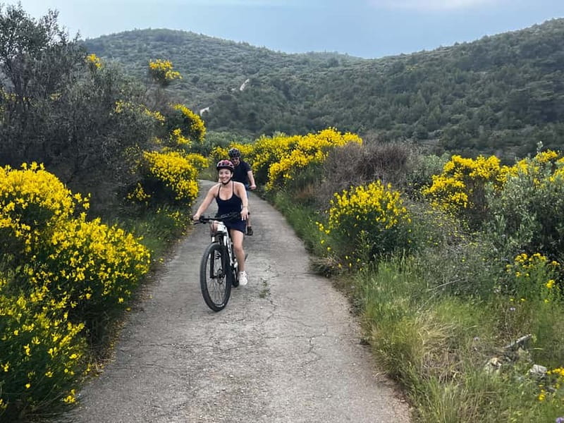 Private Hvar Island E-Bike Tour - Key highlights worth your attention