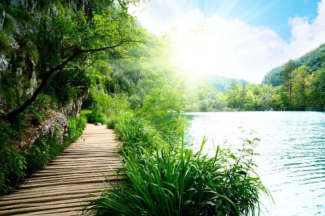 Private Plitvice lakes tour from Split - Private vs. shared tours: what you gain with up to 4 people