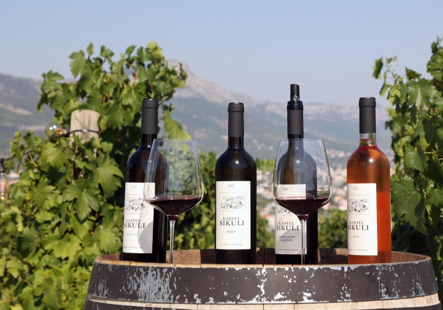 Private Split & Trogir Wine Tasting & Vineyard with Sea View - Why the guide matters more than you think: Ivan, Radmila, and Gabby