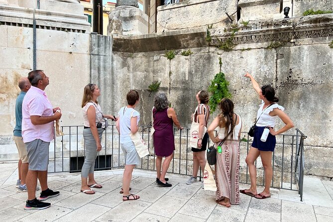 Private Split: Visit Diocletian Palace & Taste Food at the Market - Who should book this Split palace and market tour