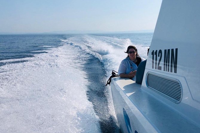 Private Water taxi from Split to Brac island - The crew experience: safety, stories, and that human touch