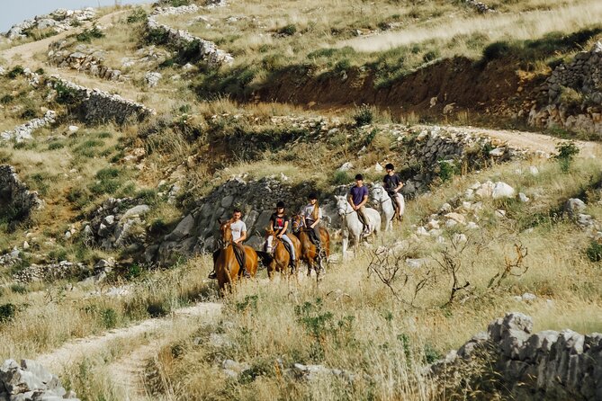Ranch 22 Podstrana, " Horse riding 12 km from SPLIT " - Starting Point in Podstrana: Getting to the Ranch Area Near Split