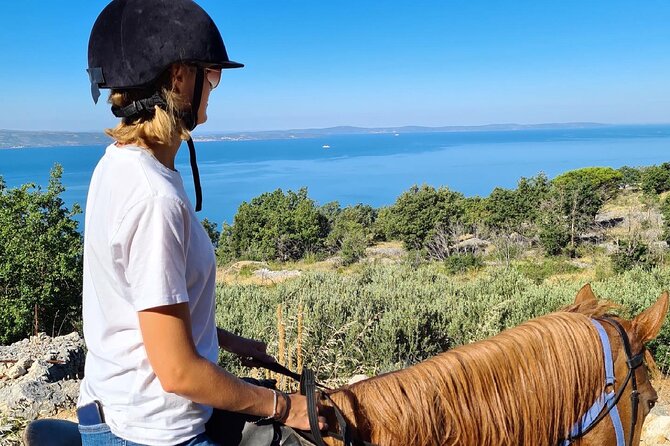 Ranch 22 Podstrana, " Horse riding 12 km from SPLIT " - Horses and Riding Level: What Beginner Really Means Here