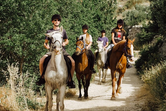 Ranch 22 Podstrana, " Horse riding 12 km from SPLIT " - Price and Value: Does $105 Make Sense for This Experience?
