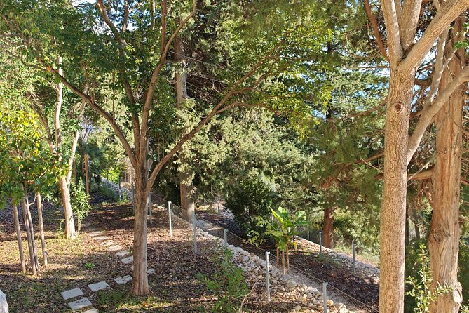 Secret Marjan Park Hiking Tour in Split - Price and value: what $60.15 buys you in Split