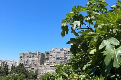 Secret Split: Socialist Architecture & brutalism - Urban Utopia - Papandopulova ulica and MoMA’s Toward a Concrete Utopia connection