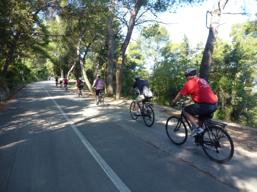 Split 3-Hour Guided Bike Tour - Who this tour fits best in Split