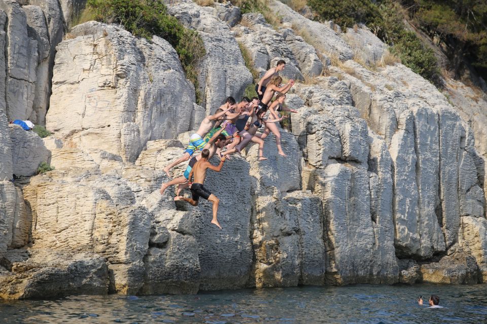Split 4-Hour Guided Sea Kayak Tour - Price and value: $59 with kayak gear and insurance included
