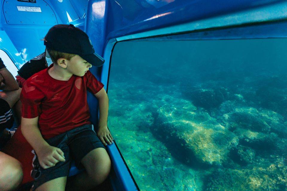Split: 45-minute Semi-Submersible Submarine Trip - Price and value: is $20 per person worth it?