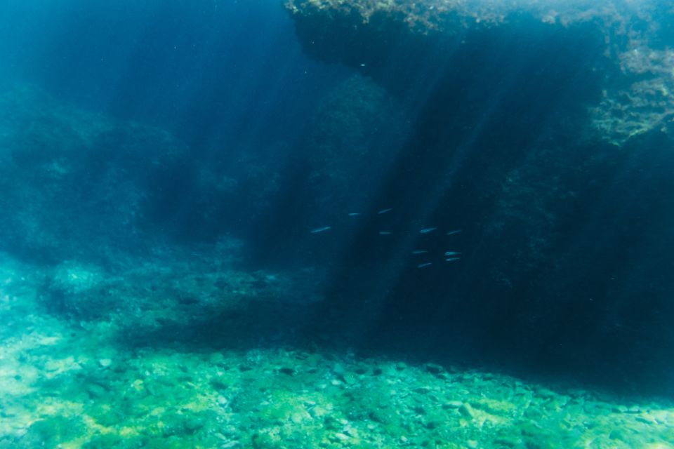 Split: 45-minute Semi-Submersible Submarine Trip - Comfort, windows, and the small factors that affect your view