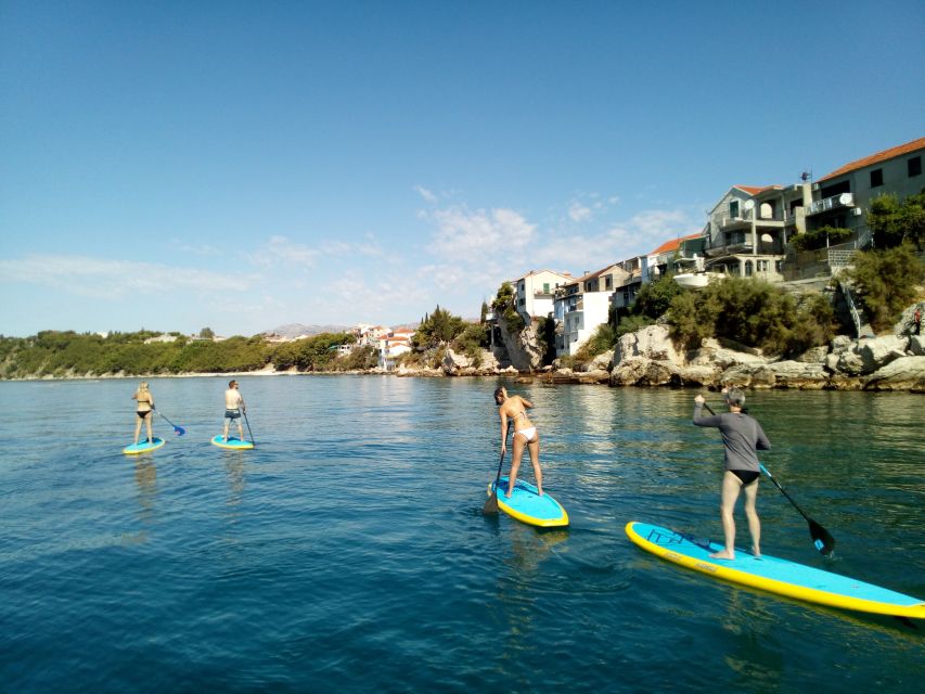 Split: Adriatic Sea and River Stand-Up Paddleboard Tour - Paddling the green river section where conditions are forgiving