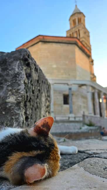 Split and Diocletian's Palace walking tour with a local guid - Key things that make this tour worth your hour