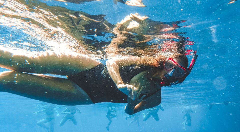 Split: Blue Cave and 5 Islands Tour - Stop 3: Budikovac Island for snorkeling (and the bar option if you want it)