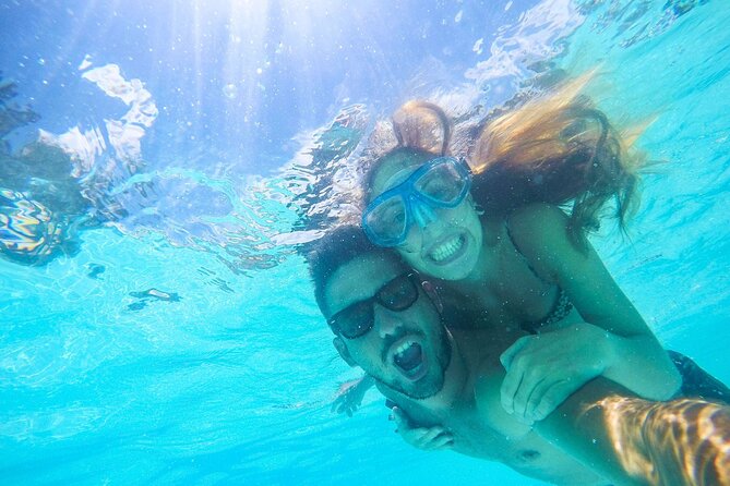 Split: Blue Lagoon, Hvar, Brač, 6 Islands Boat Tour - Small Group - Stop 4: Maslinica on Šolta for olive-grove quiet and a slower harbor (1 hour)