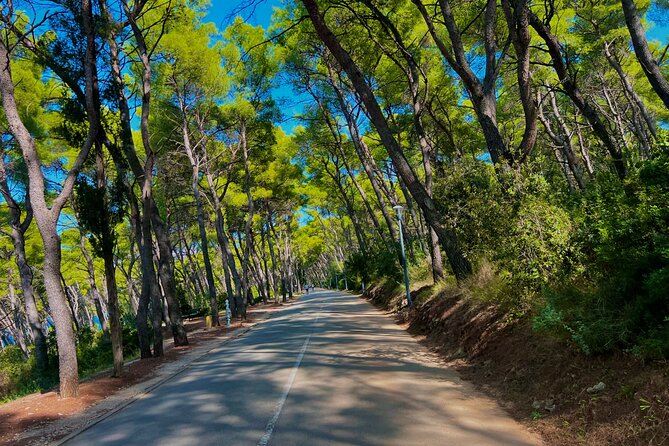Split by Private Electric Rickshaw - Palace & Hidden Gems - The Poljud Stadium viewpoint and what to do with your last minutes