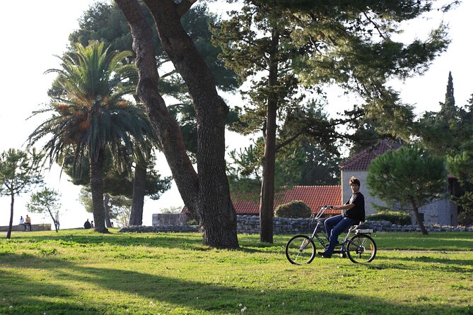 Split Electric Bicycle Tour - Throttle e-bikes vs pedal-assist: the real handling consideration
