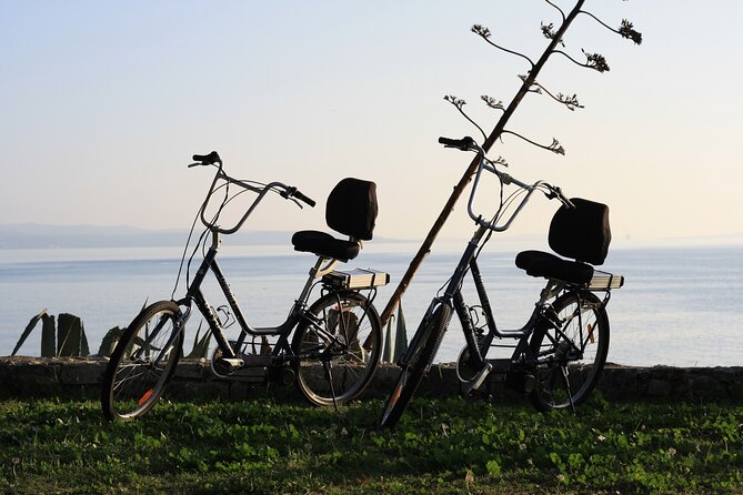 Split Electric Bicycle Tour - Should you book Split Electric Bicycle Tour with Elek bike?