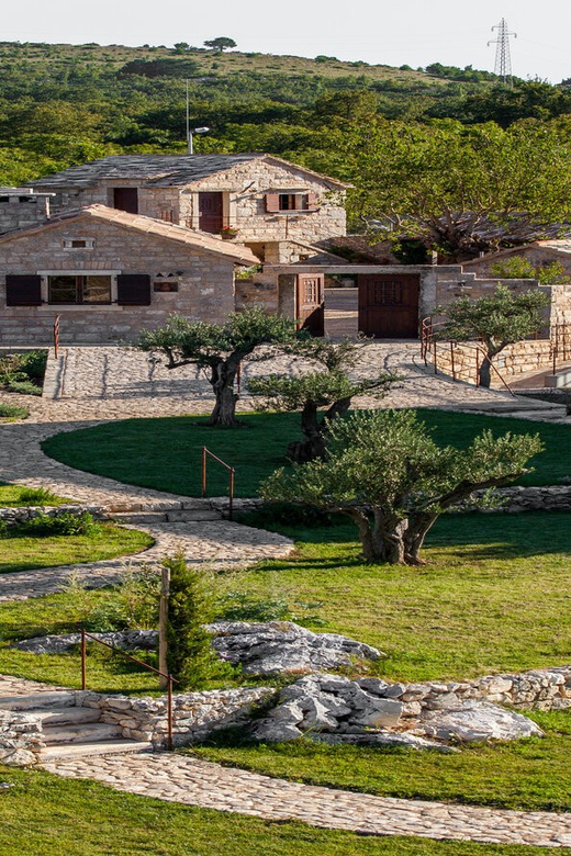 Split: Olive museum Klis with Olive Oil Tasting - Stella Croatica: a family estate tour with real product work