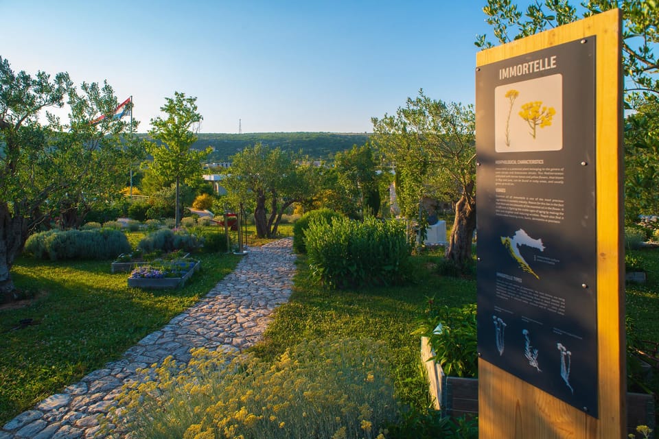 Split: Olive museum Klis with Olive Oil Tasting - From herbs to natural cosmetics: what you’ll notice (and remember)