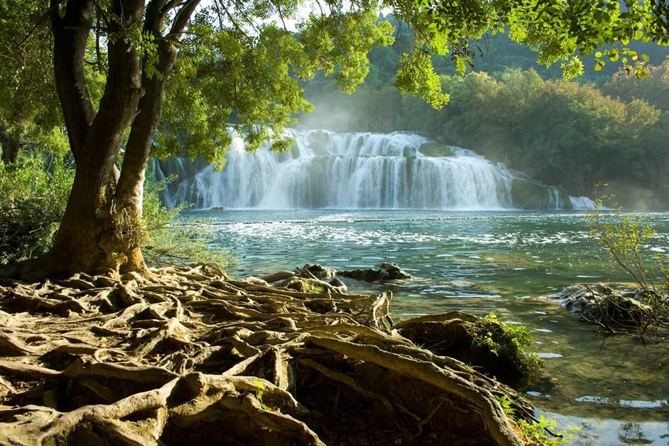 Split or Trogir: Krka Waterfalls & Wine and Food tasting - What you’ll get from the guide and escort (and why it matters)