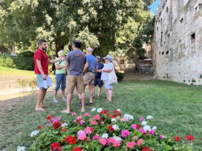Split: Private Roman History & Market Tour - Meeting at the Riva Promenade: The Fastest Way to Get Oriented
