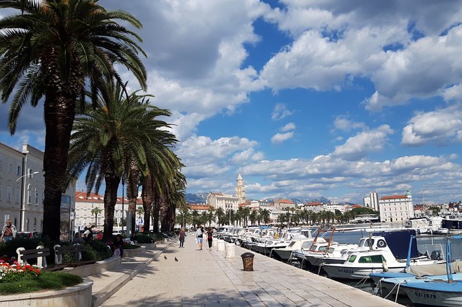 SPLIT-PRIVATE Walking Tour of Diocletian's Palace & Old Town - Split in 2 Hours: Diocletian’s Palace Meets Old Town
