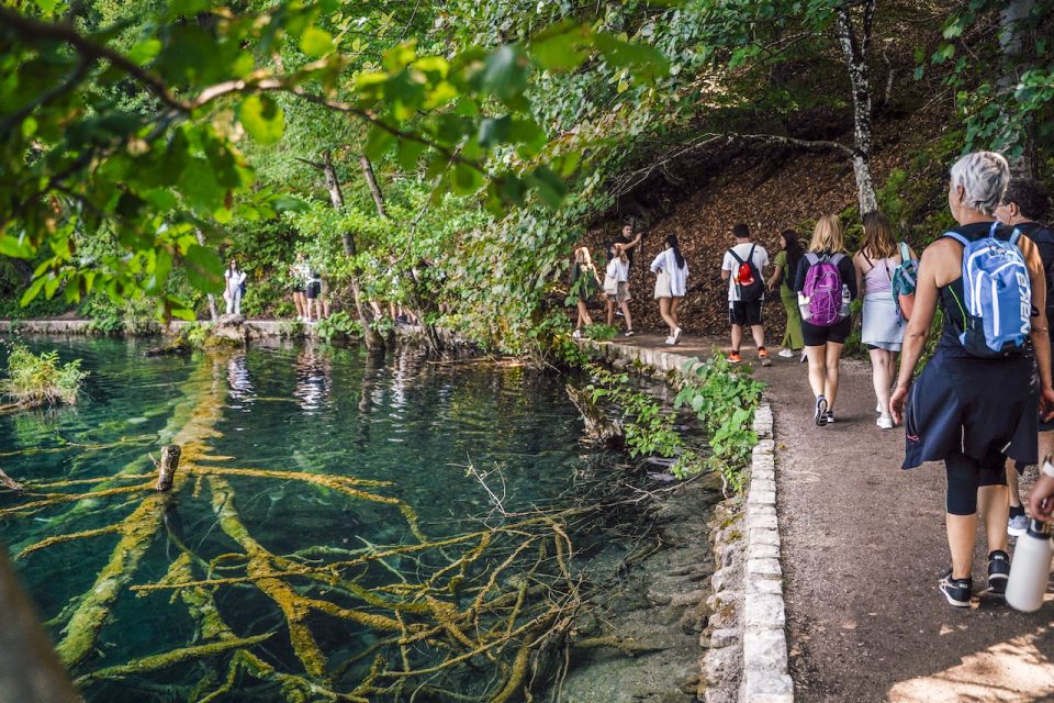 Split: Self-Guided Plitvice Lakes Day Tour with Boat Ride - The electric train through the forest: comfort without giving up the scenery