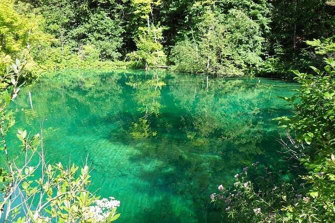 Split to Zagreb or airport Zagreb via Plitvice lakes for singles or couples - Value check: what $346.07 covers, and why it may be worth it