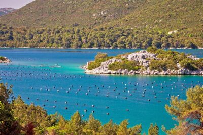 Transfer Split to Dubrovnik with Sightseeing in Ston Town - The Pelješac Peninsula drive: why the timing works