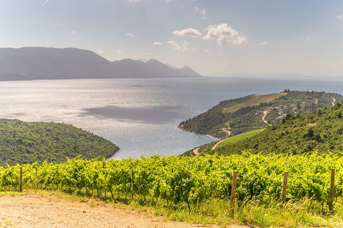 Transfer Split to Dubrovnik with Sightseeing in Ston Town - WiFi, English driver, and “small stress wins”