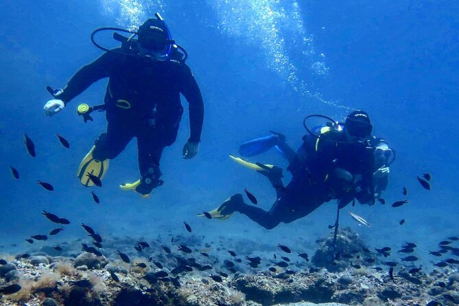 Try Scuba Diving in Split - Key highlights to know before you go