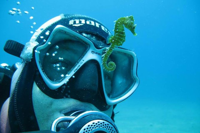 Try Scuba Diving in Split - Why Split is a smart place for your first scuba try