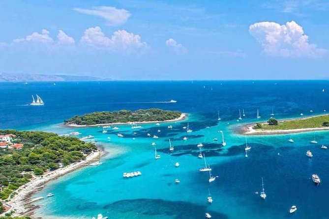 Try Scuba Diving in Split - The underwater session: shallow practice, gradual descent, and real wildlife