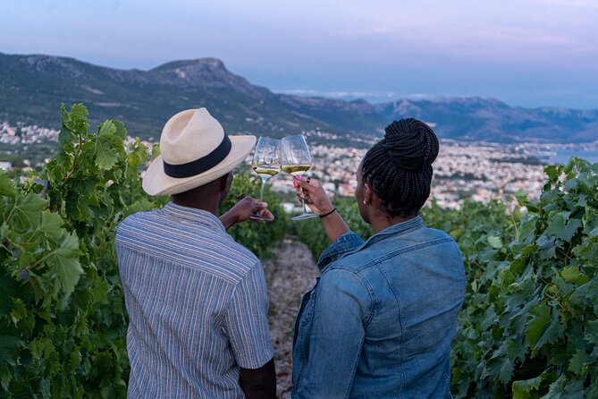 Vineyard Experience: Wine Tasting near Split - Quick Hits