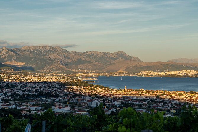 Vineyard Experience: Wine Tasting near Split - What This Tour Feels Like in Real Life