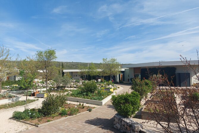 Visit Ancient Salona, Mighty Klis Fortress and Stella Croatica - Stella Croatica Ethno Agro Park: Olive Oil, Figs, and a Family-Run Stop