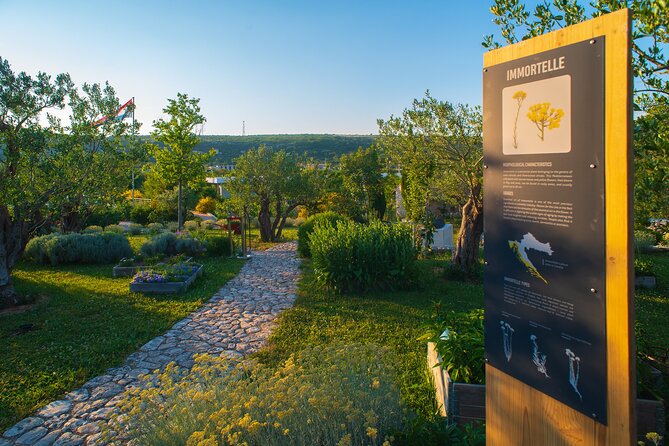 Visit Klis fortress GOT & Olive museum Klis - Getting Between Stella Croatica and Klis Fortress (No Organized Transport)