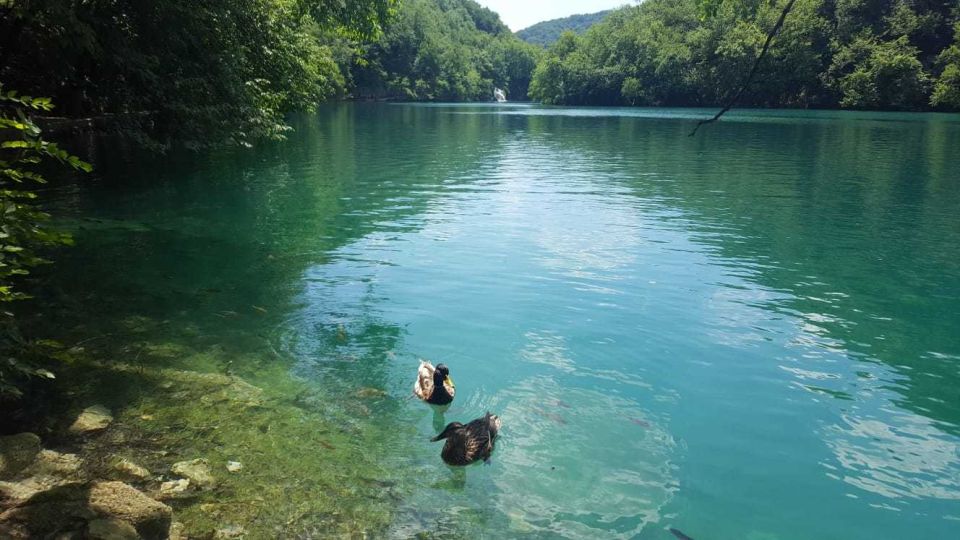 Zagreb to Split: Private Transfer with Plitvice Lakes - Price and Value: Is $559 per Person Reasonable?